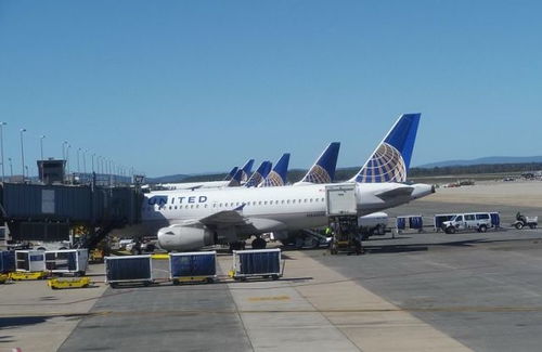 近49億美元 美國航司靠行李托運(yùn)居然賺了這么多